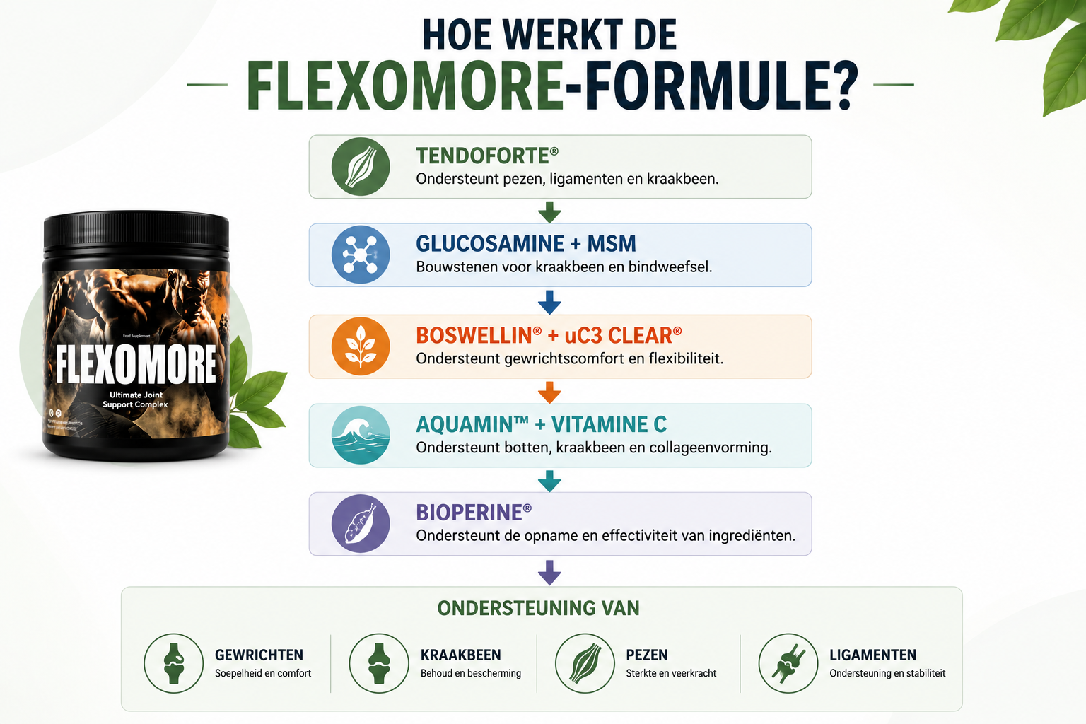 Hoe werkt de Flexomore-formule met Tendoforte, Glucosamine, MSM, Boswellin, uC3 Clear, Aquamin, Vitamine C en BioPerine