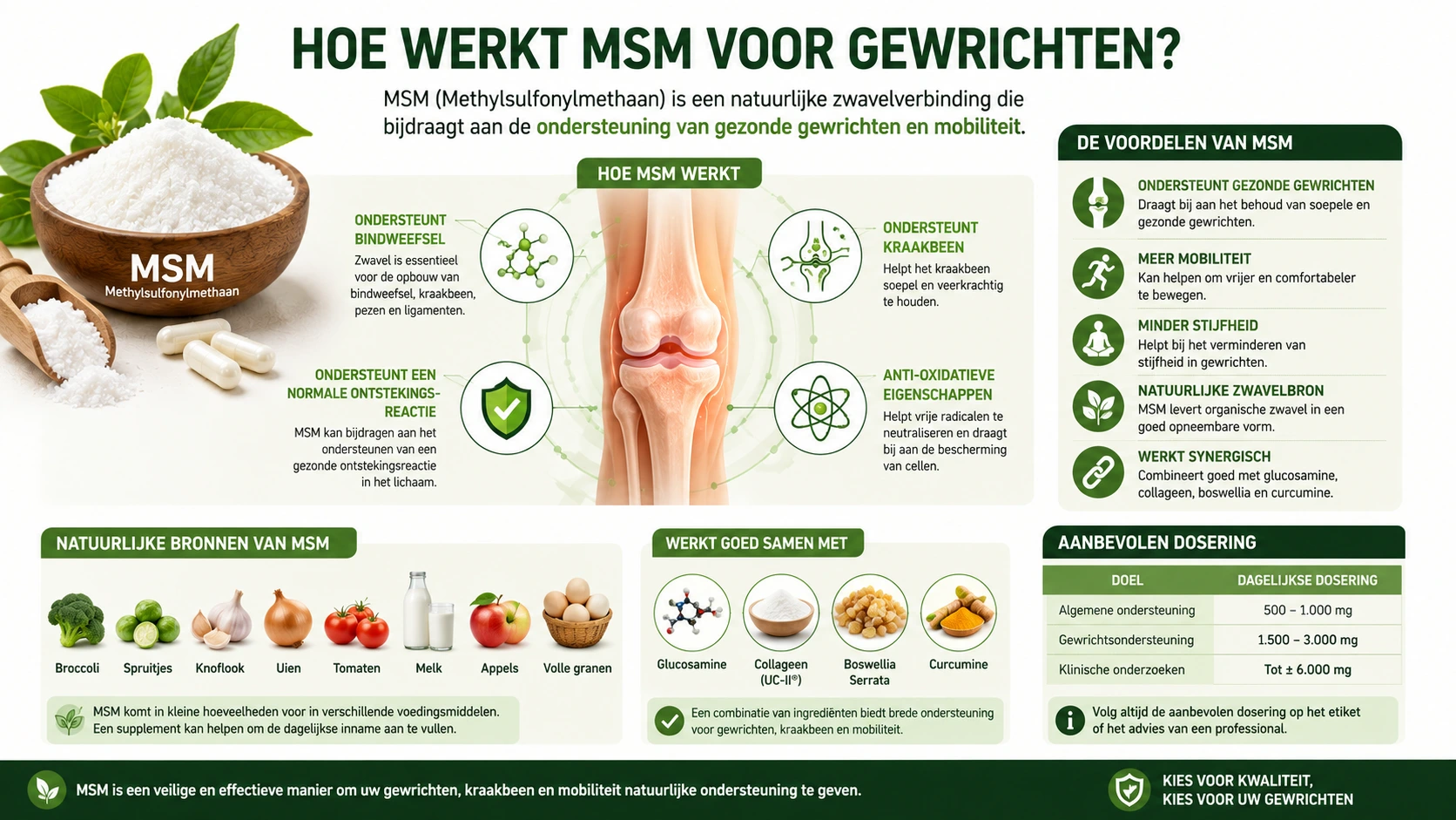 Infografiek over hoe MSM werkt voor gewrichten, bindweefsel en mobiliteit
